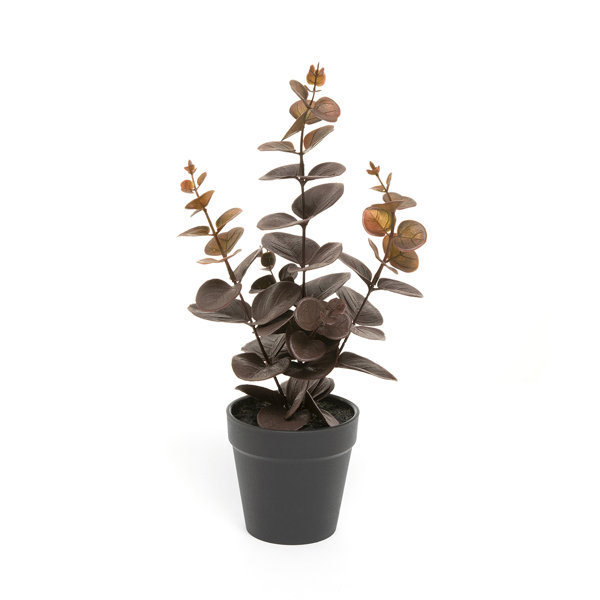 Primrue 13.5'' Faux Eucalyptus Plant in Pot Wayfair